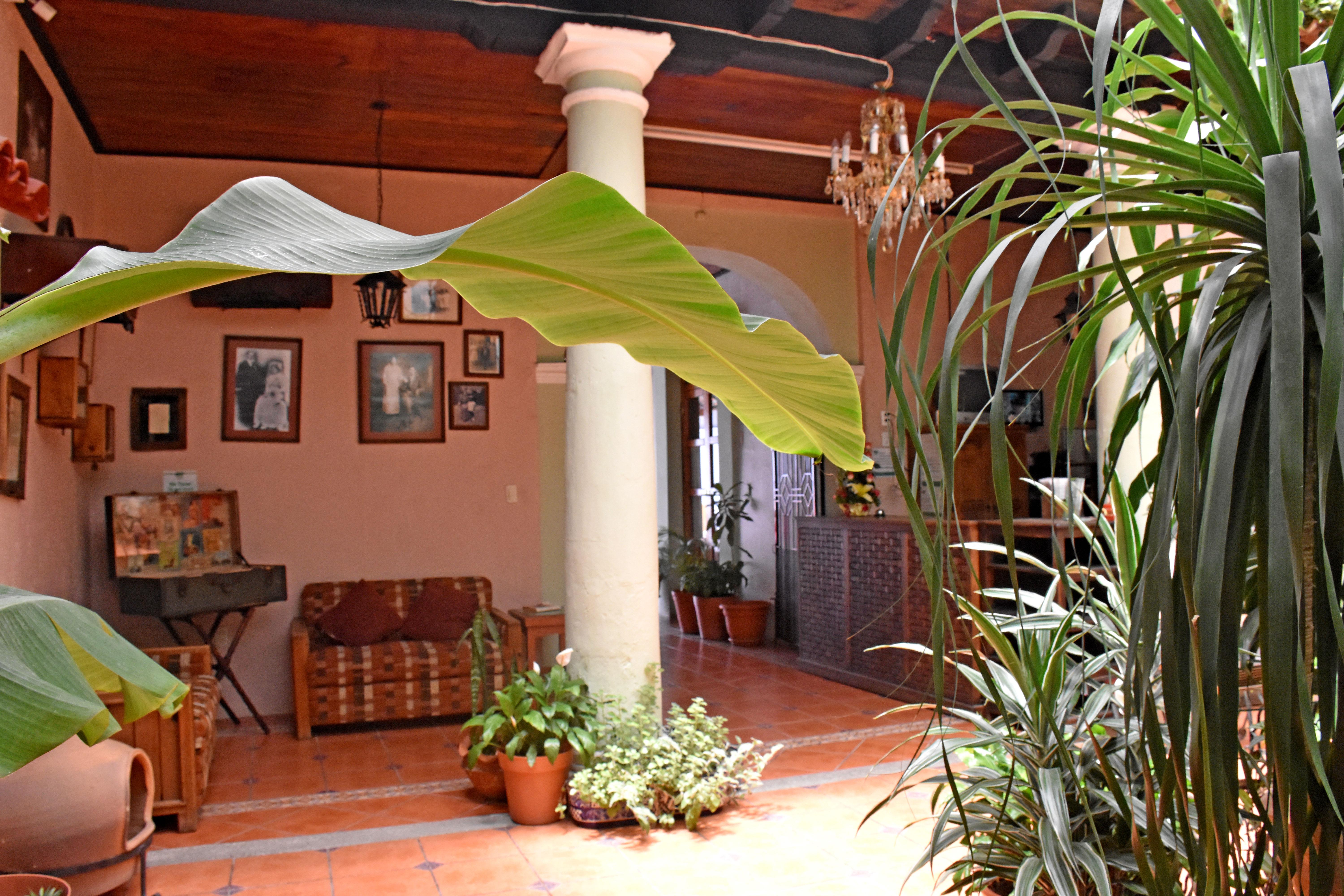 Hotel San Luis San Cristóbal de Las Casas Buitenkant foto