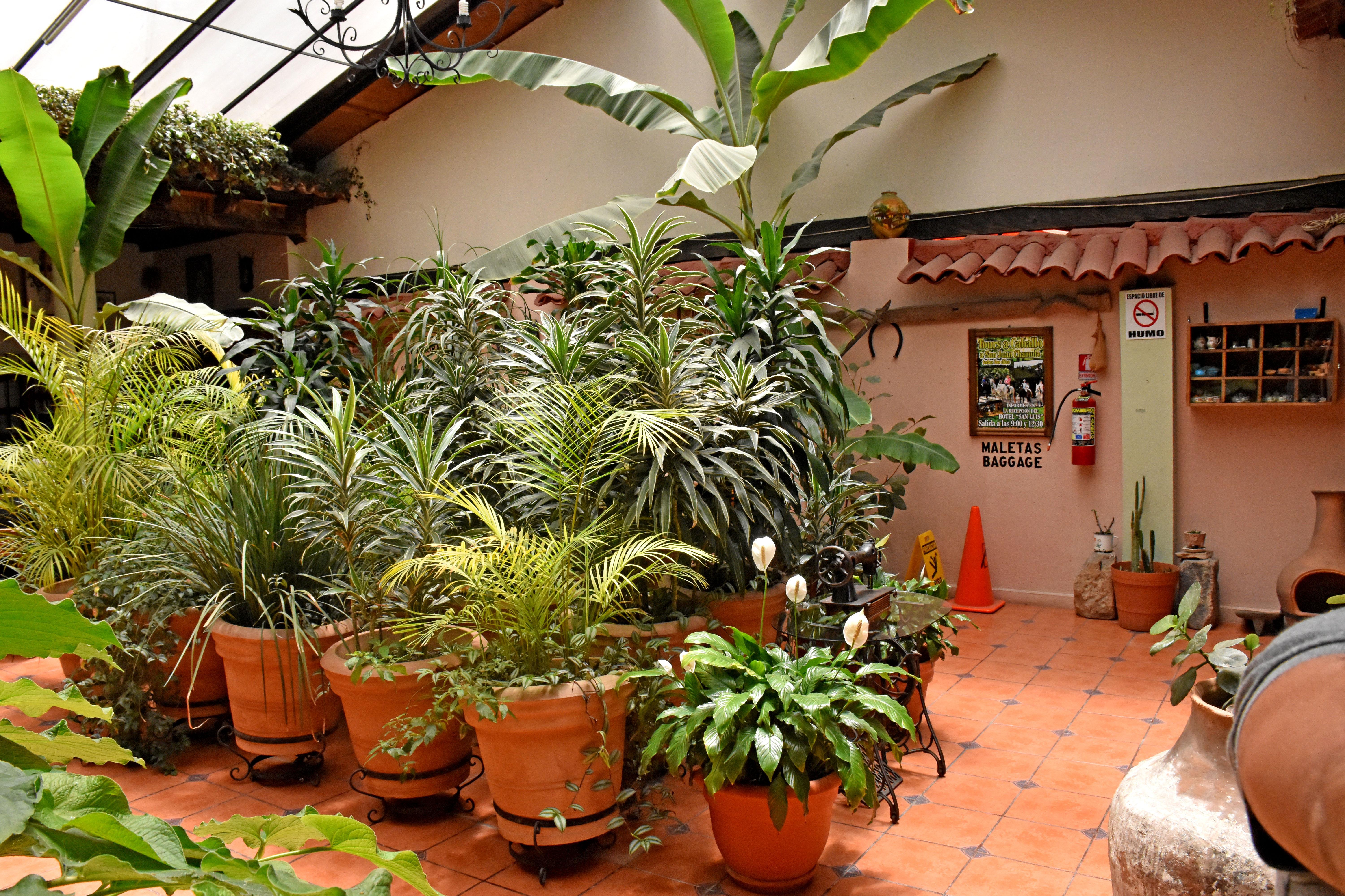 Hotel San Luis San Cristóbal de Las Casas Buitenkant foto