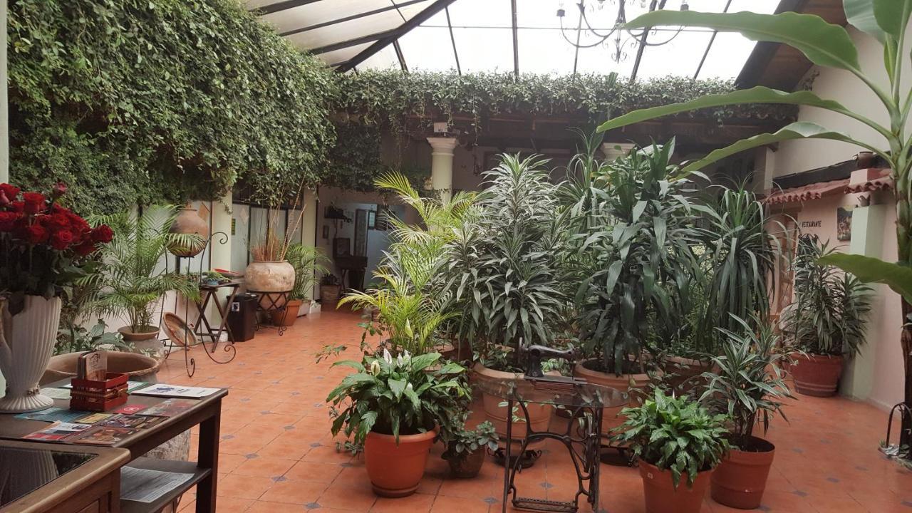 Hotel San Luis San Cristóbal de Las Casas Buitenkant foto